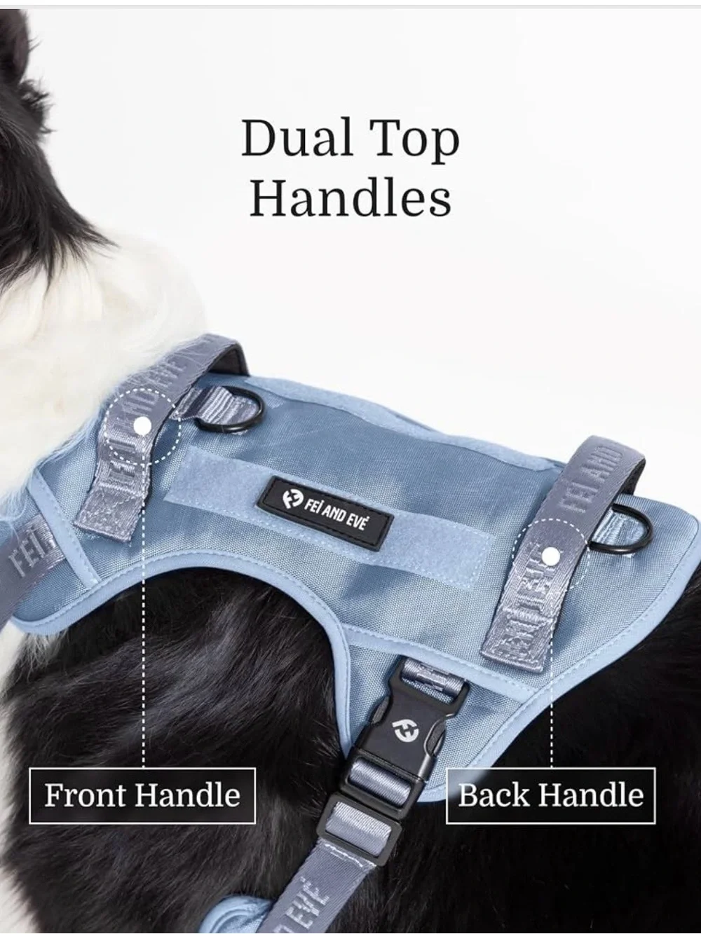 3-Point No-Pull Control, Dual Handle Support, Durable 900D Nylon 2187-1